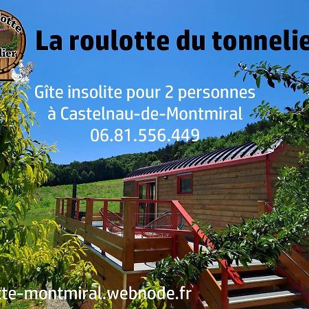 Villa La Roulotte Du Tonnelier à Castelnau-de-Montmiral Extérieur photo