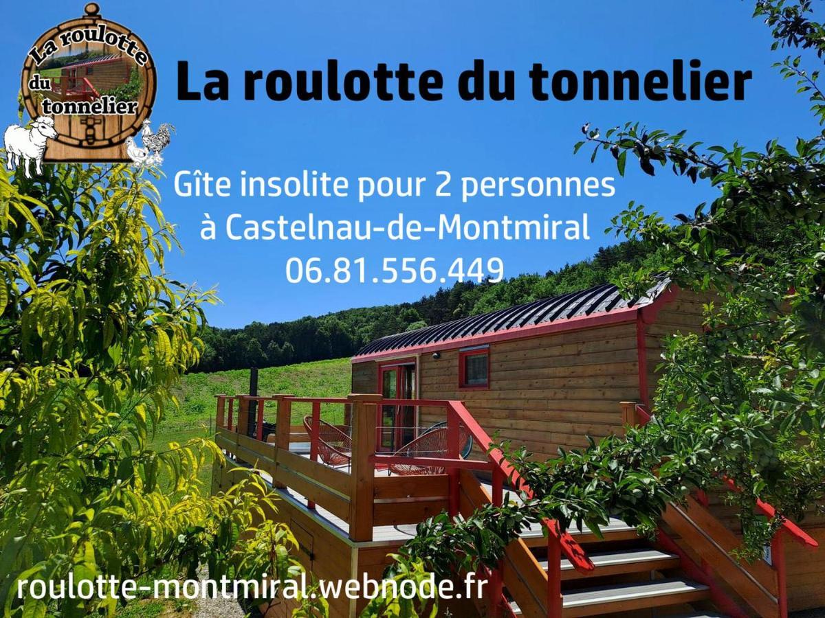 Villa La Roulotte Du Tonnelier à Castelnau-de-Montmiral Extérieur photo